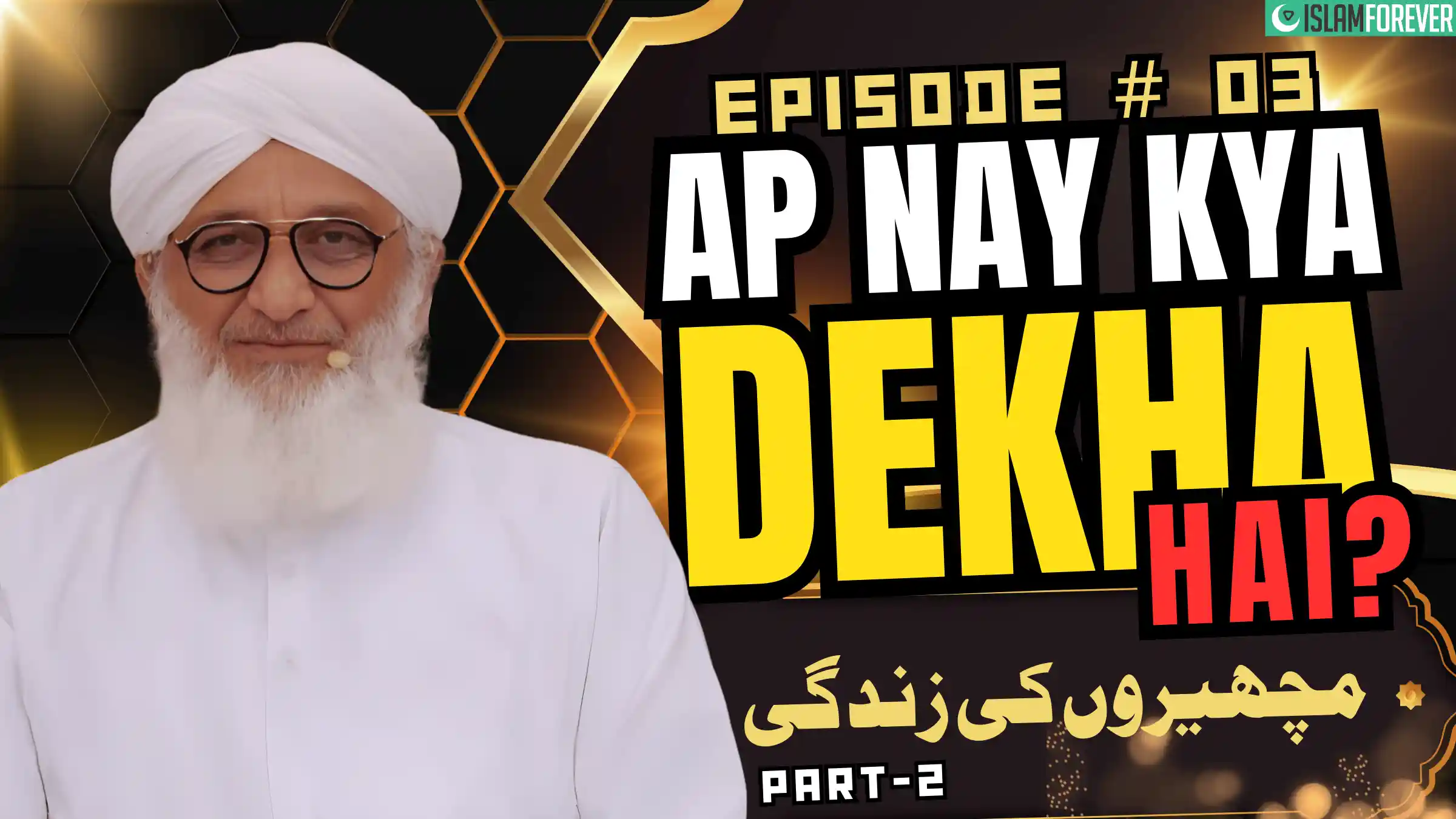 Machairon Ki Zindagi Part 02 | EP 3